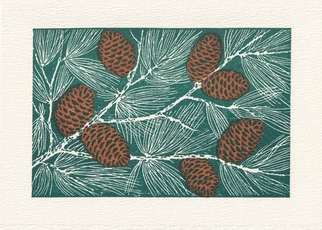 Pinecones - Box