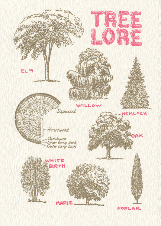 Tree Lore