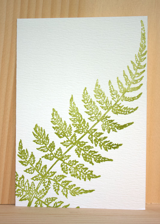 A gracefully curving fern leaf, its delicate fronds displayed in an elegant arch, representing the intricate beauty of nature.