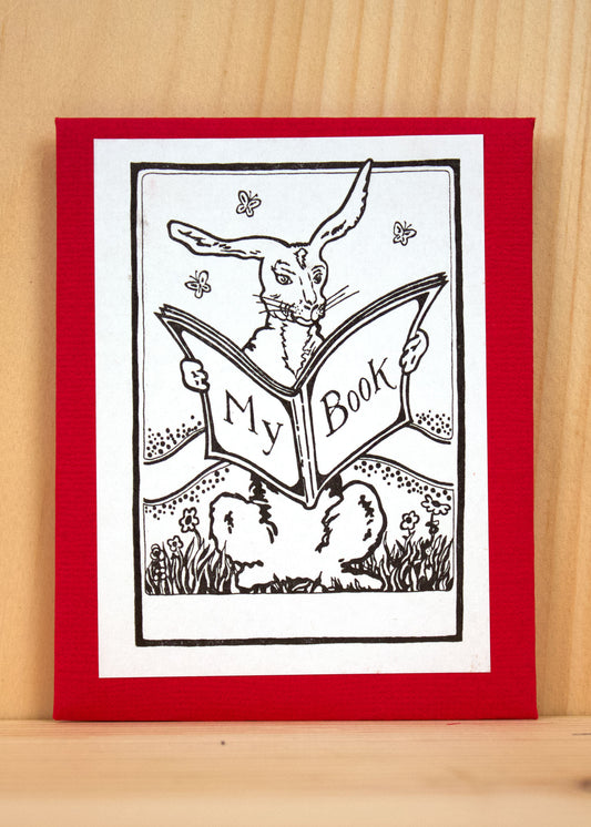 A rabbit sitting beside a book, with its ears perked up, symbolizing curiosity and learning.