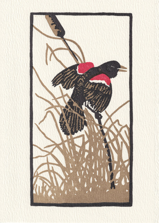 Red Wing Blackbird