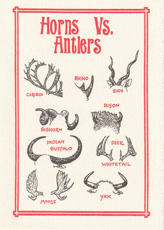 Horns vs Antlers