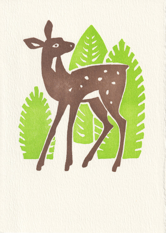 Fawn