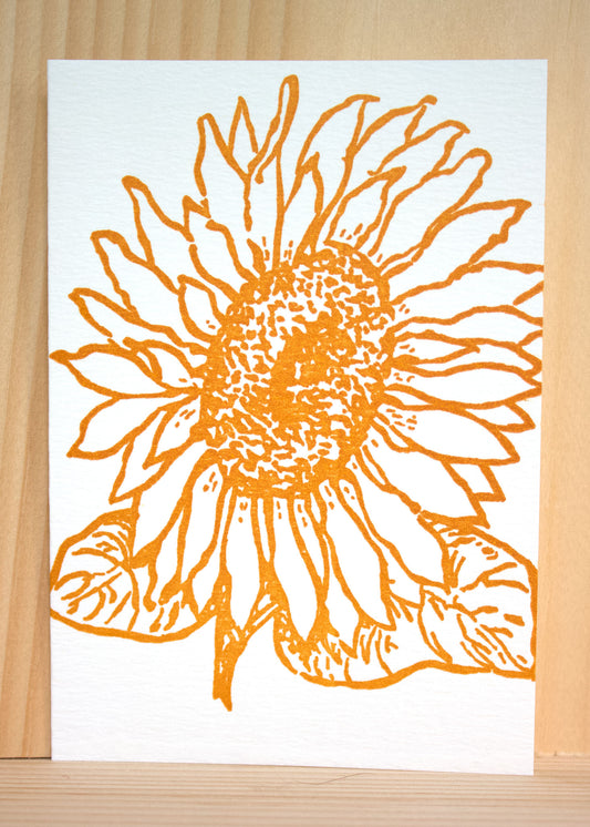 An image of a bright sunflower, facing the sun. The flower's golden petals and vibrant appearance radiate warmth and happiness.