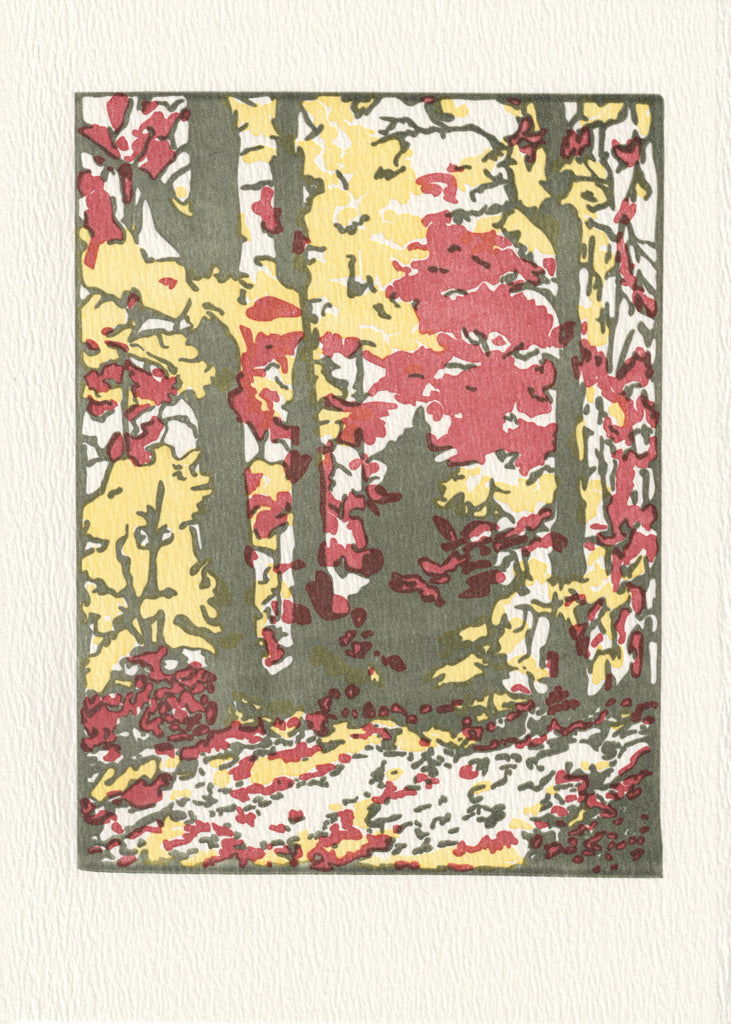 An abstract image of trees in yellow and red leaves in the autumn, with a road in the foreground.