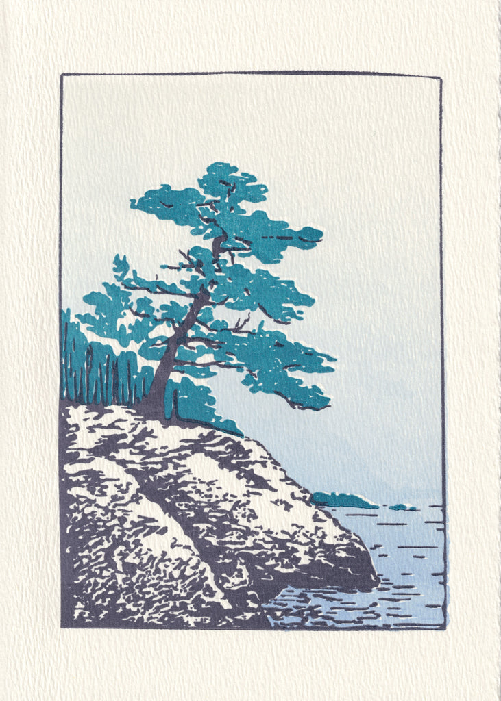 A majestic pine leans towards the ocean as it clings to a rocky promontory.  